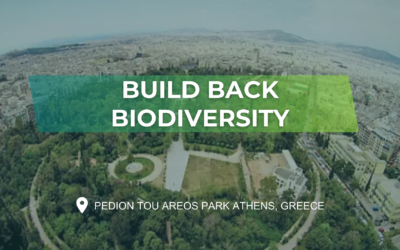 Build Back Biodiversity