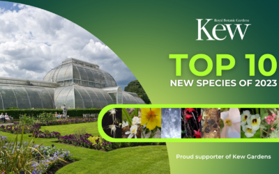Kew Garden’s top 10 new species of 2023