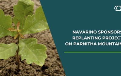 Navarino sponsors replanting project on Parnitha Mountain